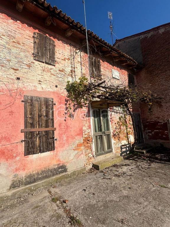 immagine annuncio 1 di 7