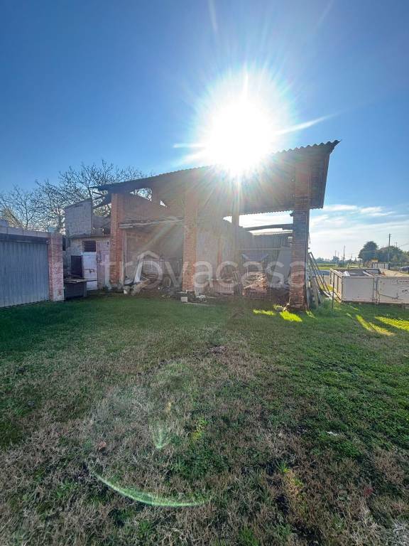 immagine annuncio 5 di 7