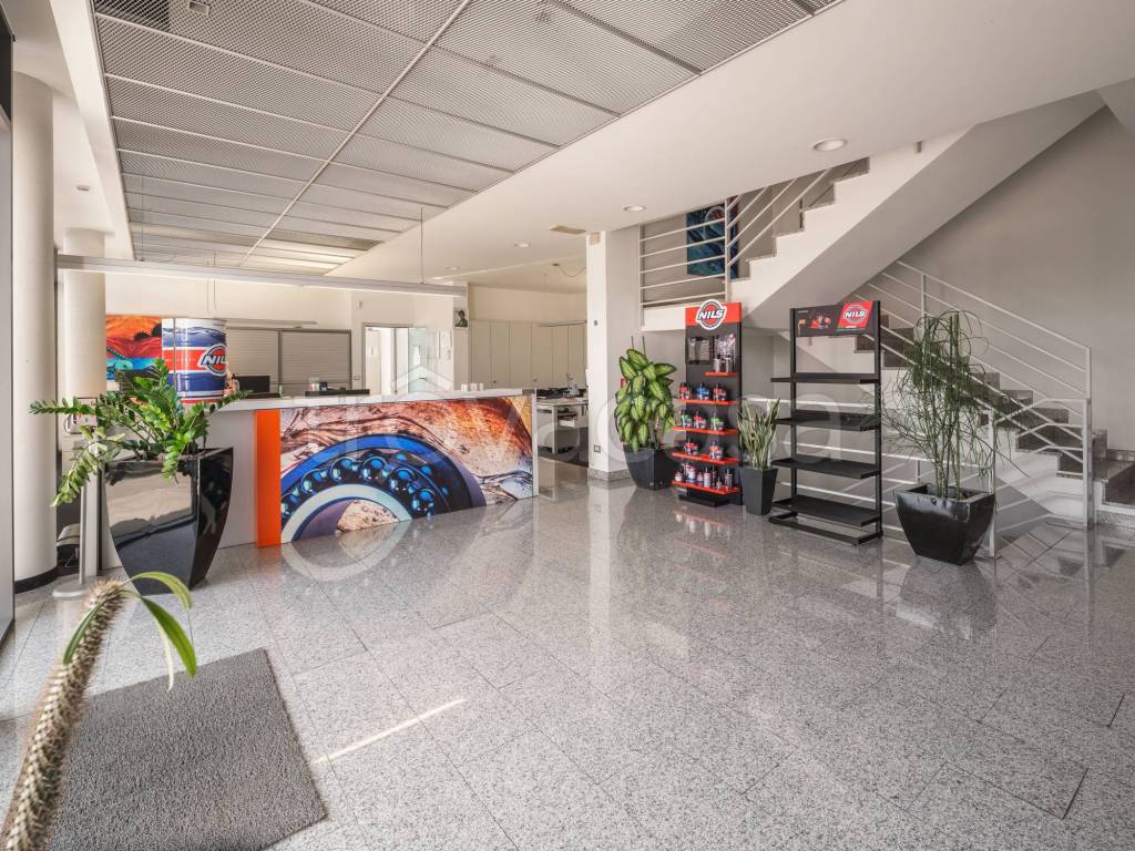 immagine annuncio 2 di 15