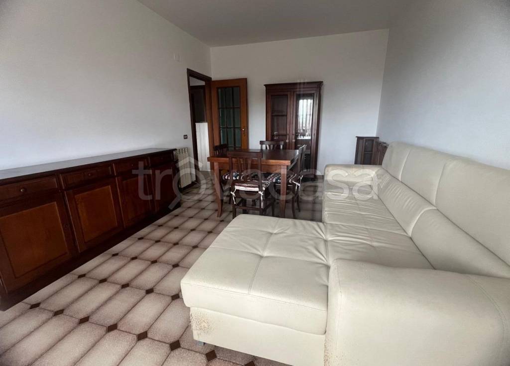 immagine annuncio 4 di 14