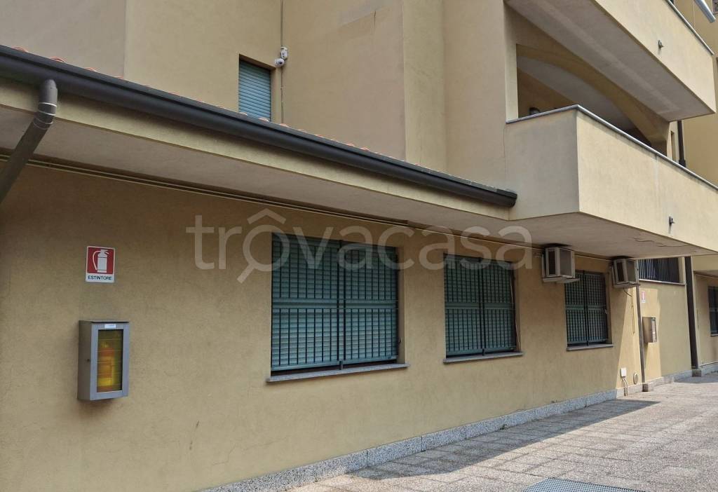 immagine annuncio 4 di 6