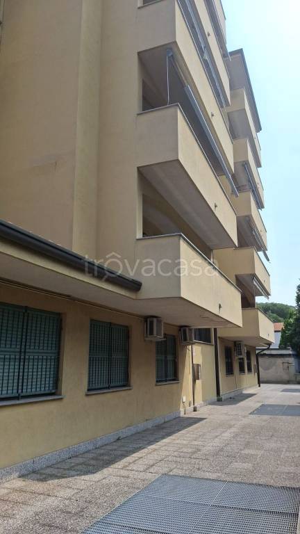 immagine annuncio 5 di 6