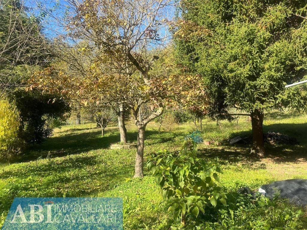 immagine annuncio 2 di 8