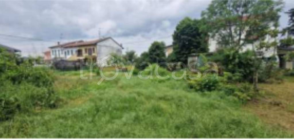 immagine annuncio 5 di 11