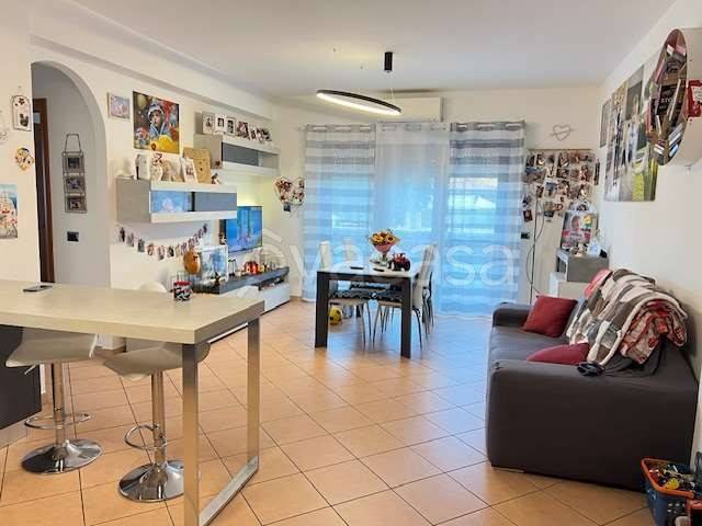 immagine annuncio 4 di 12