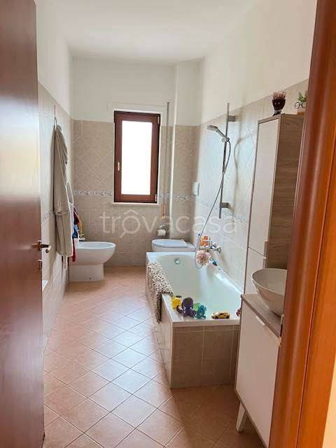 immagine annuncio 9 di 12