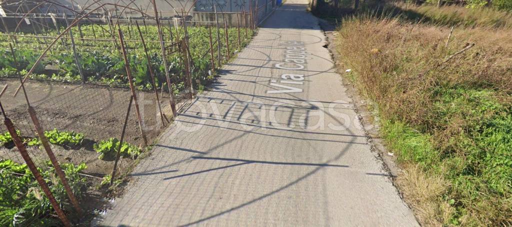 immagine annuncio 5 di 11