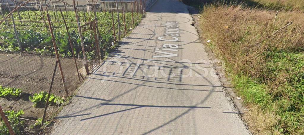 immagine annuncio 6 di 11