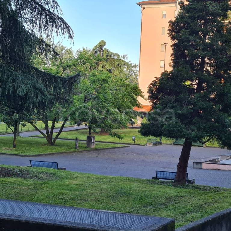 immagine annuncio 14 di 15