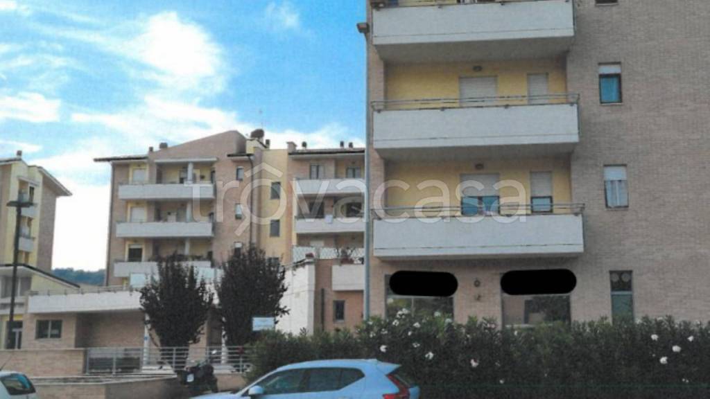 immagine annuncio 4 di 13