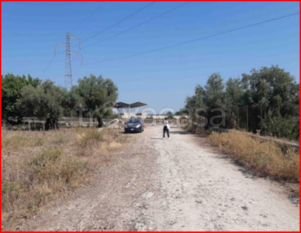 immagine annuncio 4 di 11