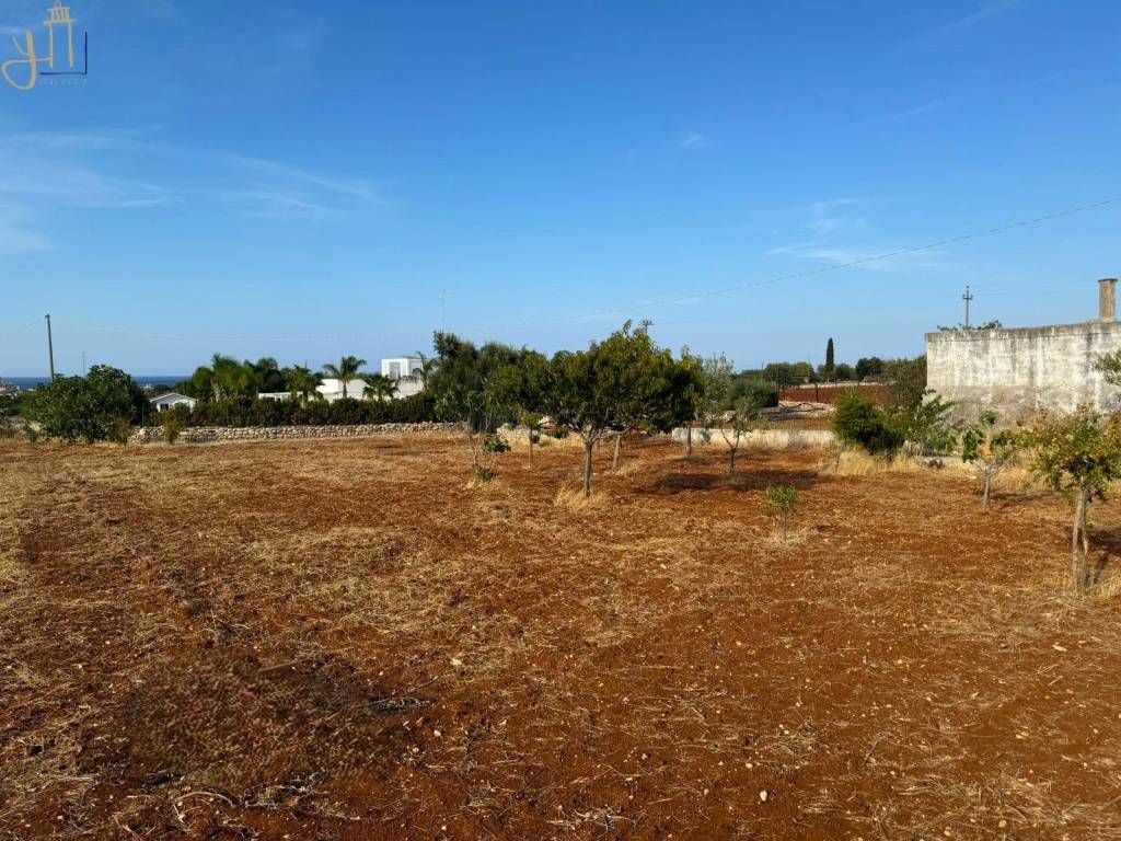 immagine annuncio 8 di 12