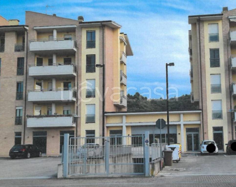 immagine annuncio 10 di 13