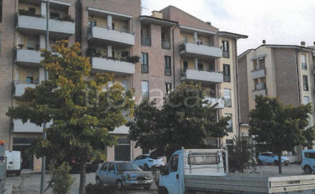 immagine annuncio 11 di 13