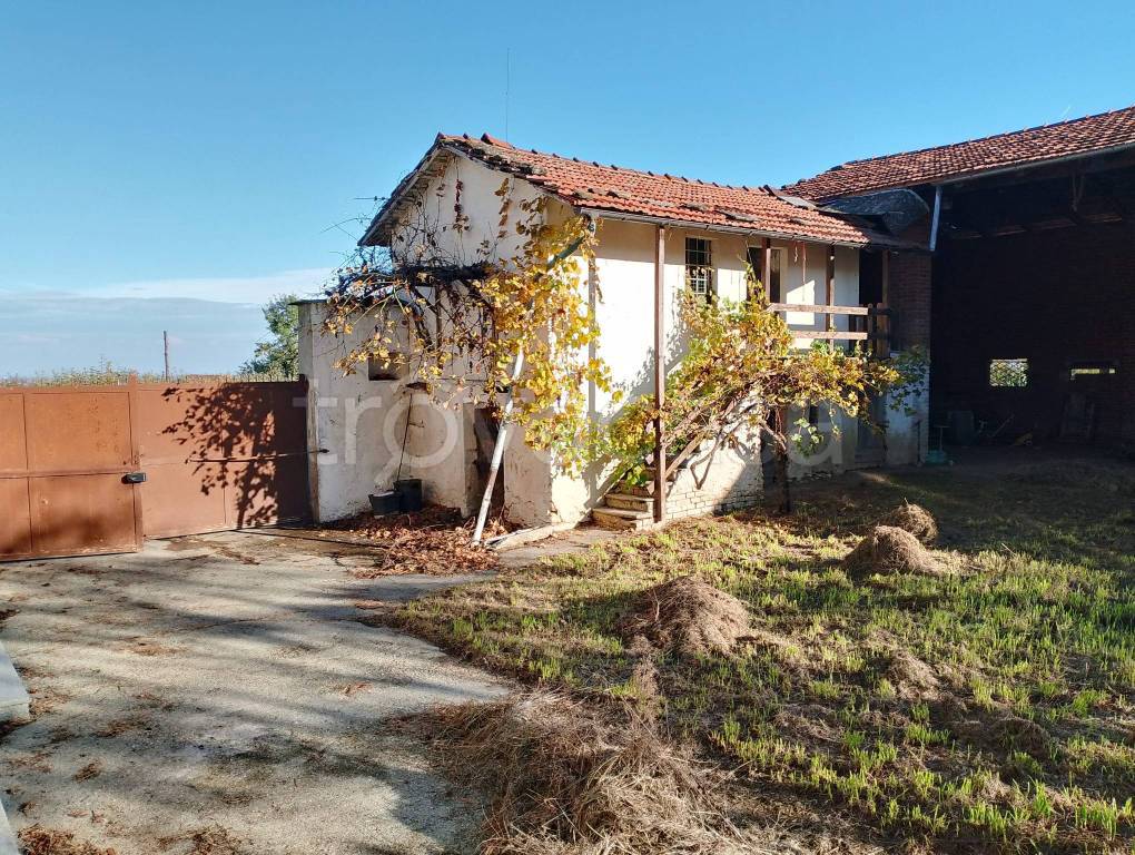 immagine annuncio 4 di 15