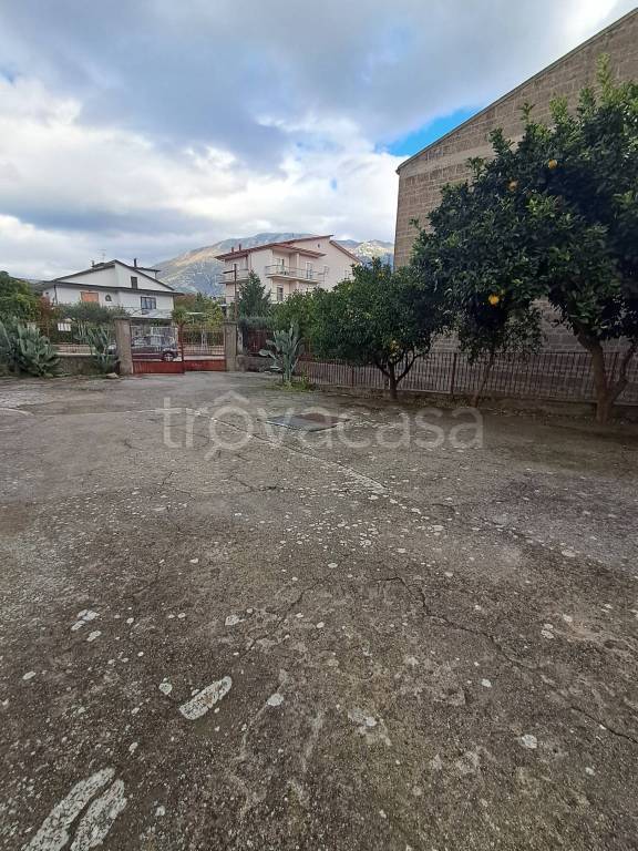 immagine annuncio 2 di 8