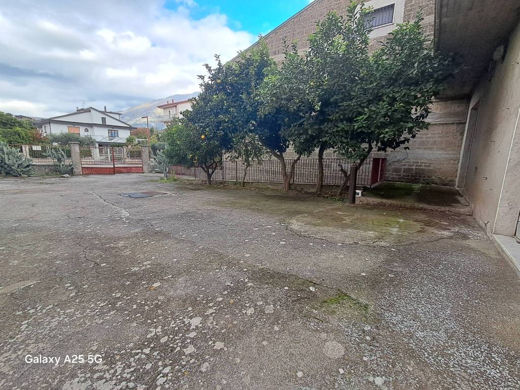 immagine annuncio 3 di 8