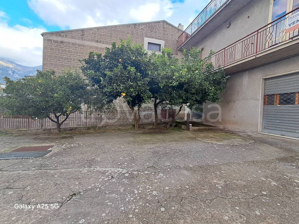 immagine annuncio 4 di 8