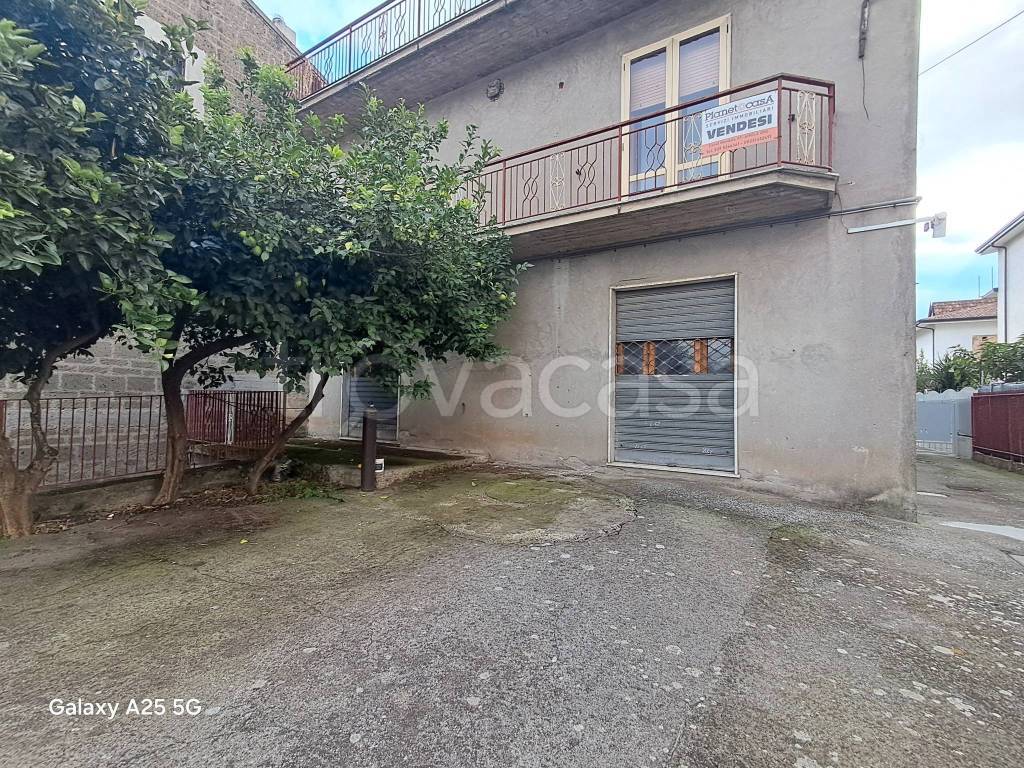 immagine annuncio 5 di 8