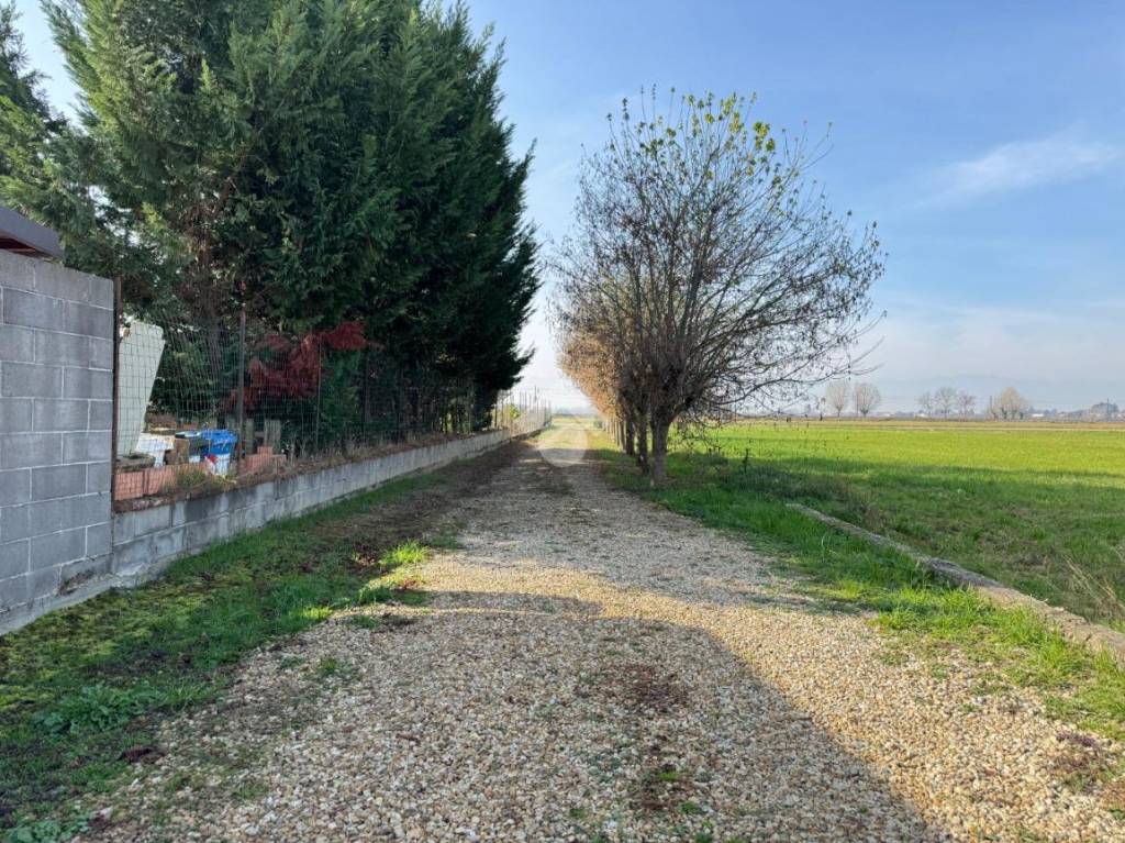 immagine annuncio 5 di 14