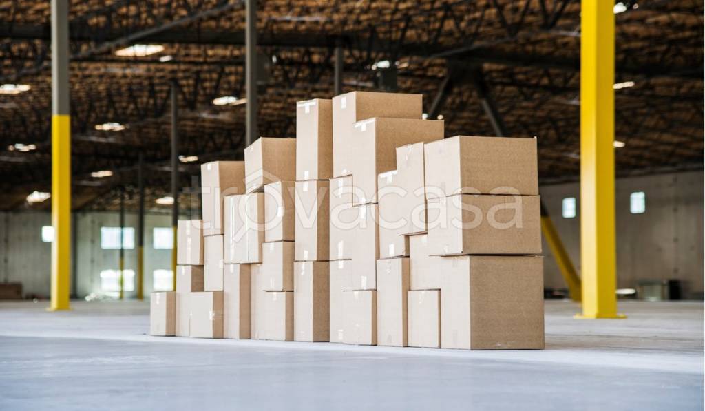 immagine annuncio 12 di 15