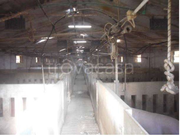 immagine annuncio 3 di 7