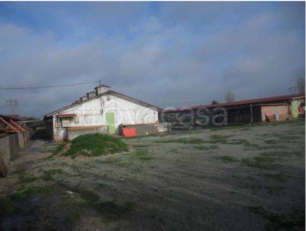 immagine annuncio 4 di 7