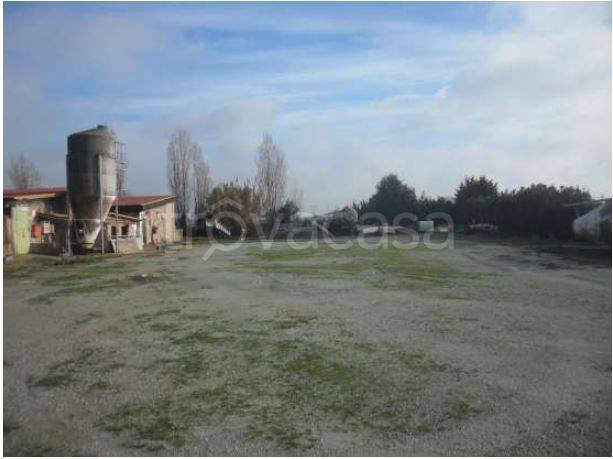 immagine annuncio 5 di 7