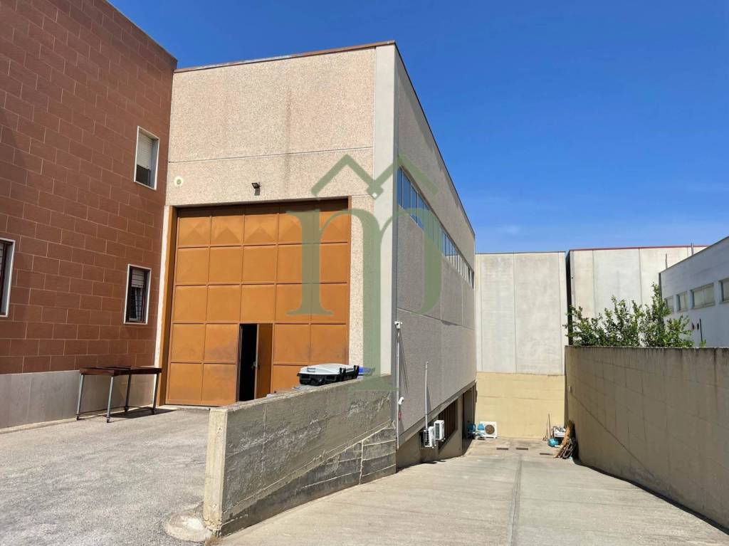 immagine annuncio 8 di 9