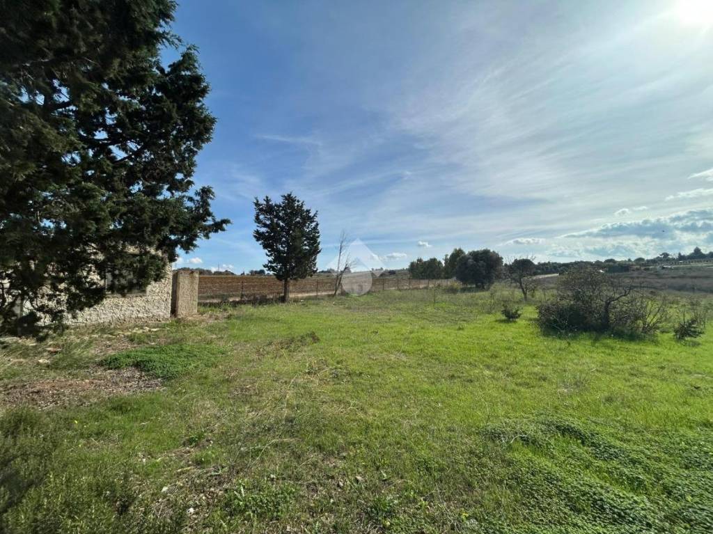 immagine annuncio 4 di 11