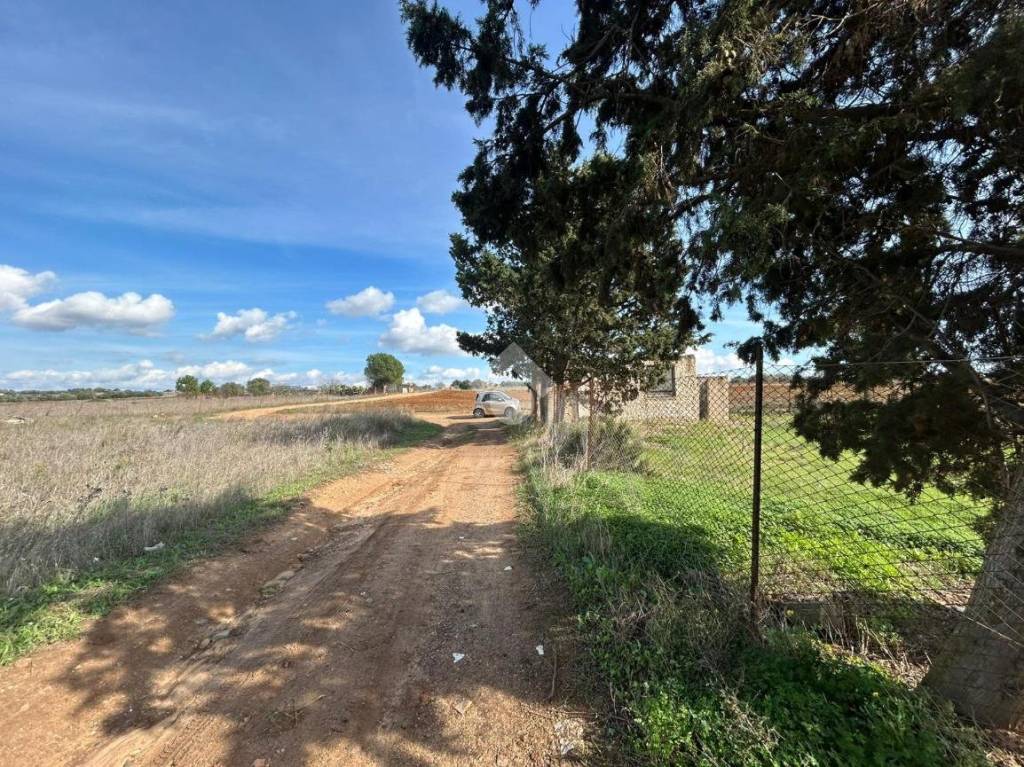 immagine annuncio 9 di 11