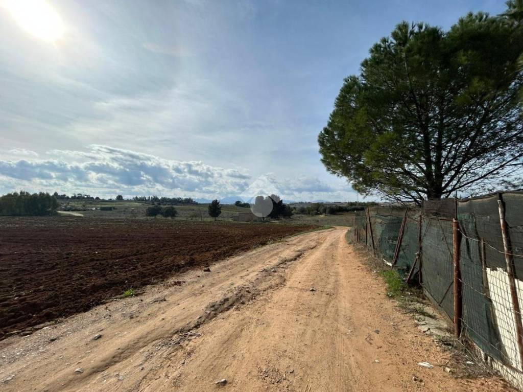 immagine annuncio 10 di 11