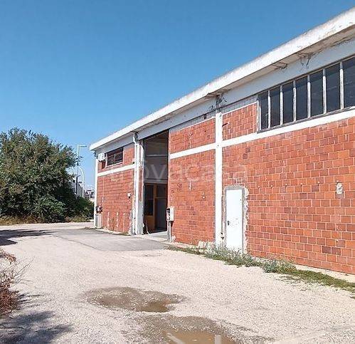 immagine annuncio 1 di 12