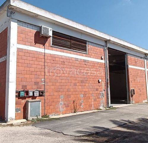 immagine annuncio 2 di 12