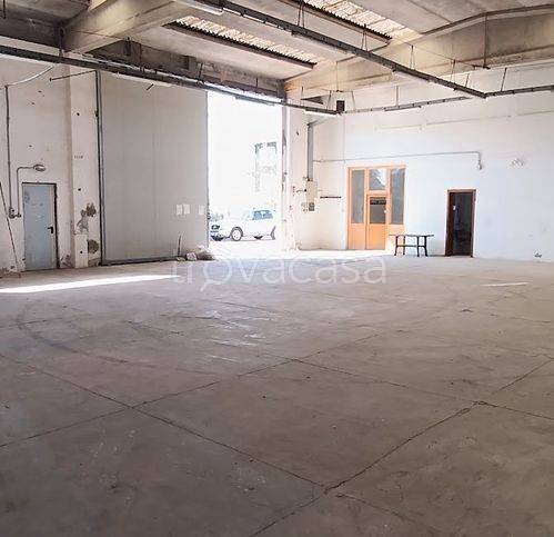 immagine annuncio 8 di 12