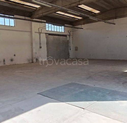 immagine annuncio 10 di 12