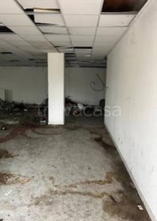 immagine annuncio 8 di 12