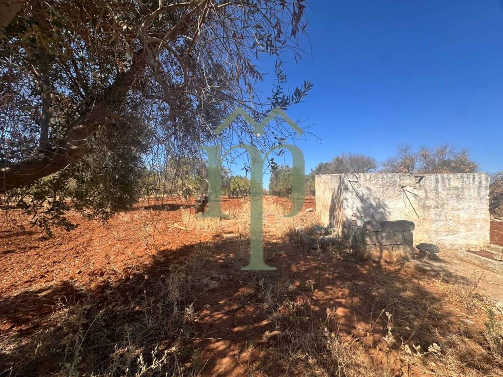 immagine annuncio 4 di 8