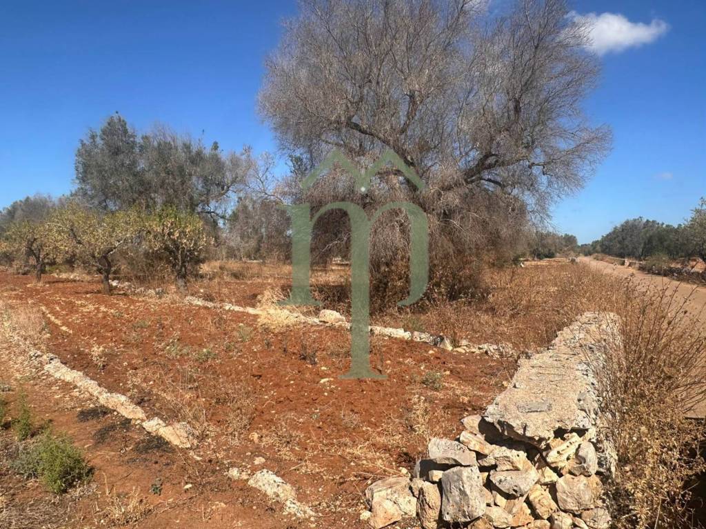 immagine annuncio 5 di 8