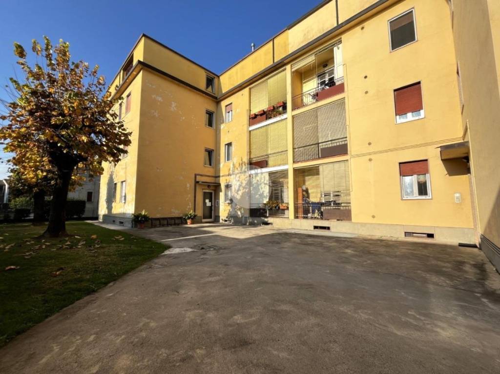 immagine annuncio 12 di 14