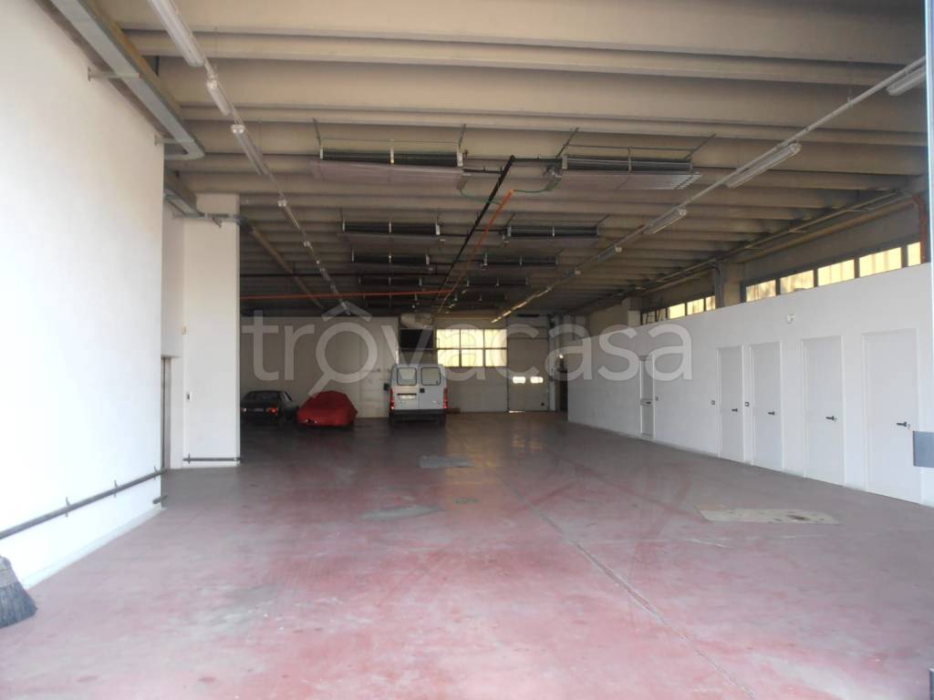 immagine annuncio 5 di 12