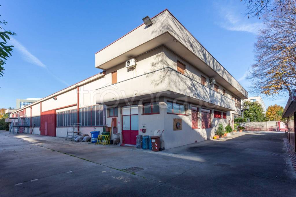 immagine annuncio 5 di 15