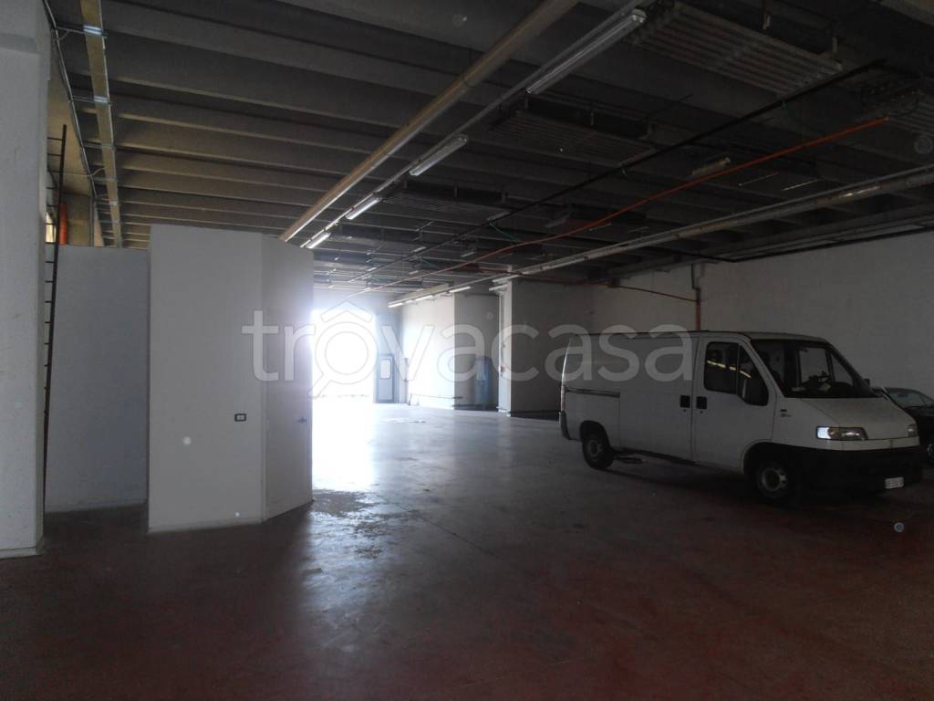 immagine annuncio 8 di 12