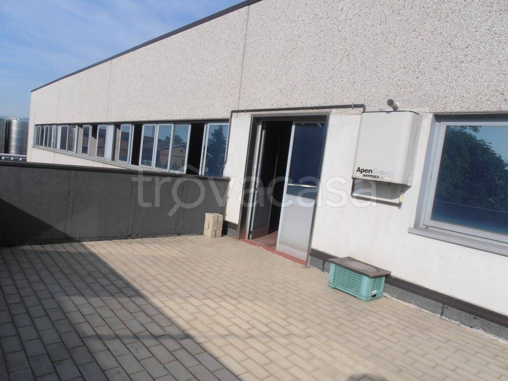 immagine annuncio 10 di 12