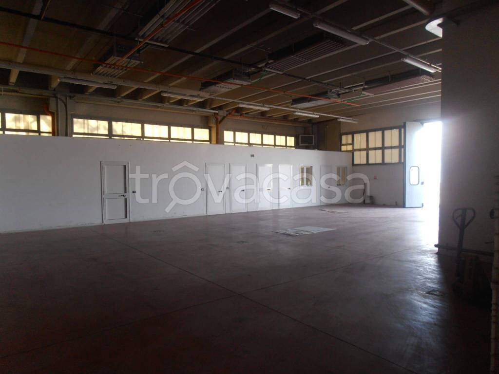 immagine annuncio 9 di 12