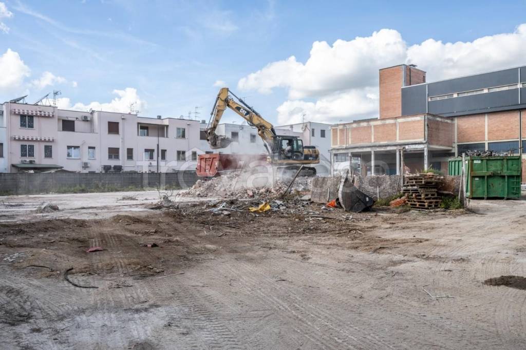 immagine annuncio 9 di 12