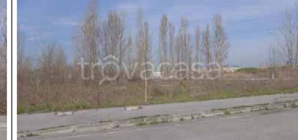 immagine annuncio 3 di 12