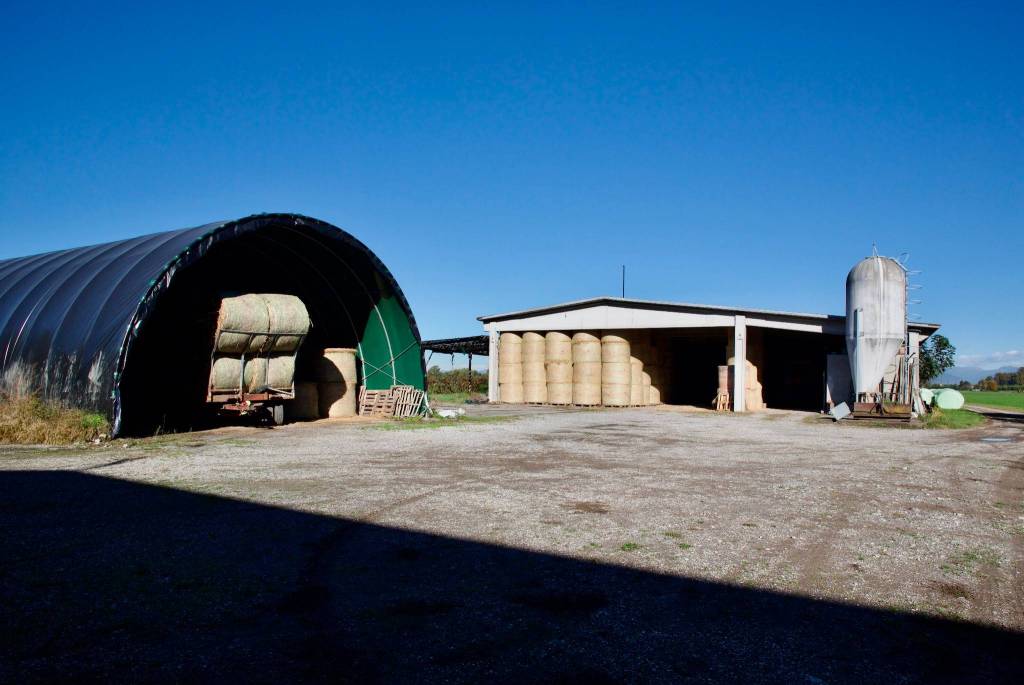 immagine annuncio 2 di 8