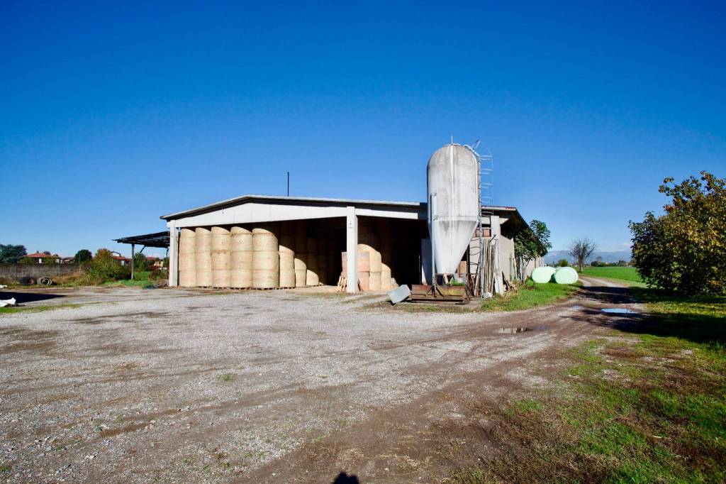 immagine annuncio 4 di 8