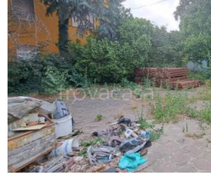 immagine annuncio 5 di 11